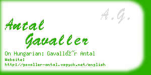 antal gavaller business card